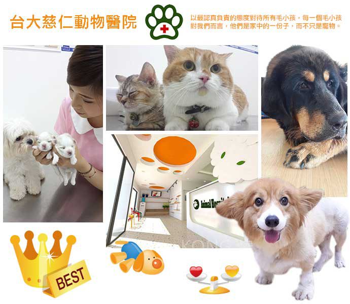 台大慈仁動物醫院