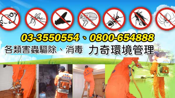 力奇事業有限公司